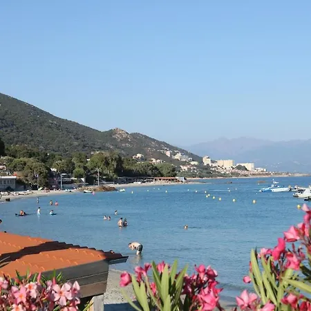 Beau Routes Des Sanguinaires Proche De La