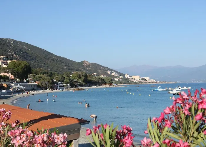 Beau Routes Des Sanguinaires Proche De La